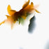 Yellow Sunflower Floral Art Print